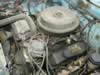 P5250040.jpg (69kb)